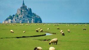 Mont Saint Michel Prés Salés
