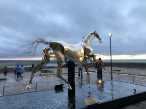 Zeus cheval au Mont